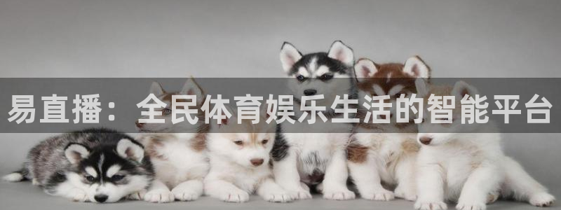 搜球吧nba在线直播：易直播：全民体育娱乐生活的智能平台