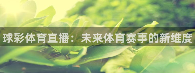 nba直播搜球吧：球彩体育直播：未来体育赛事的新维度