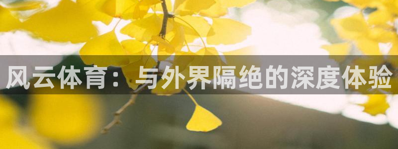 搜球吧直播nba中文直播：风云体育：与外界隔绝的深度体验