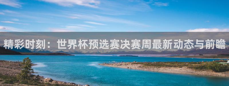 搜球直播吧：精彩时刻：世界杯预选赛决赛周最新动态与前瞻