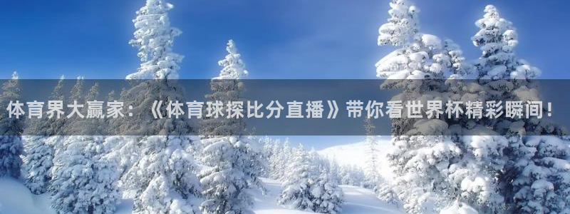 搜球体育下载：体育界大赢家：《体育球探比分直播》带你看世界杯精彩瞬间！