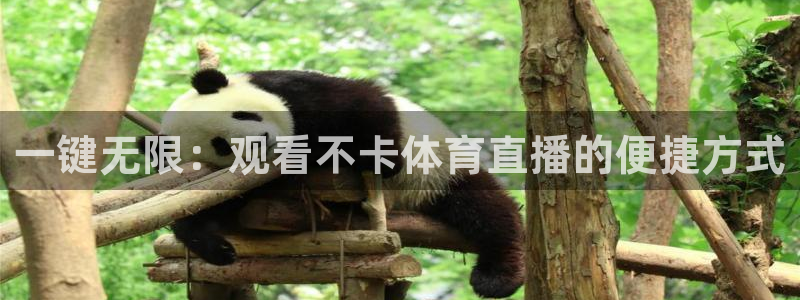 搜球体育官网：一键无限：观看不卡体育直播的便捷方式