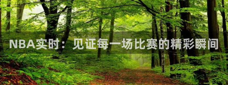 搜球吧 直播：NBA实时：见证每一场比赛的精彩瞬间