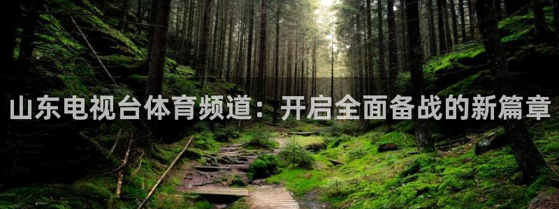搜球吧直播网：山东电视台体育频道：开启全面备战的新篇章